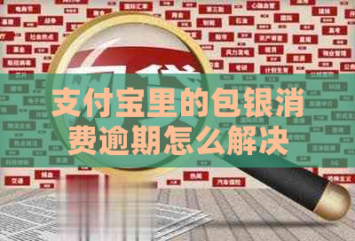 支付宝里的包银消费逾期怎么解决