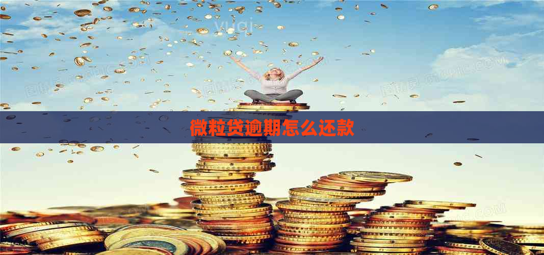 微粒贷逾期怎么还款