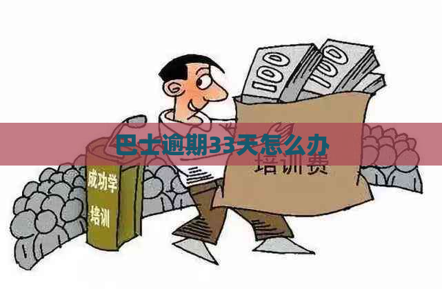巴士逾期33天怎么办