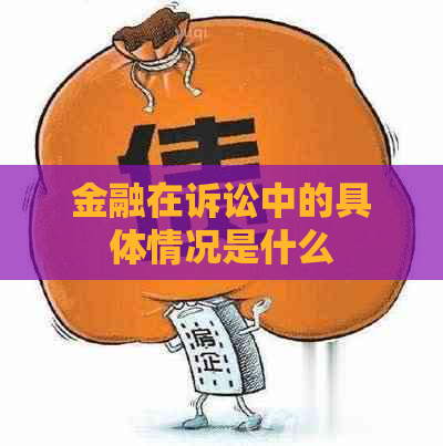 金融在诉讼中的具体情况是什么