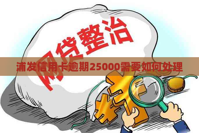 浦发信用卡逾期25000需要如何处理