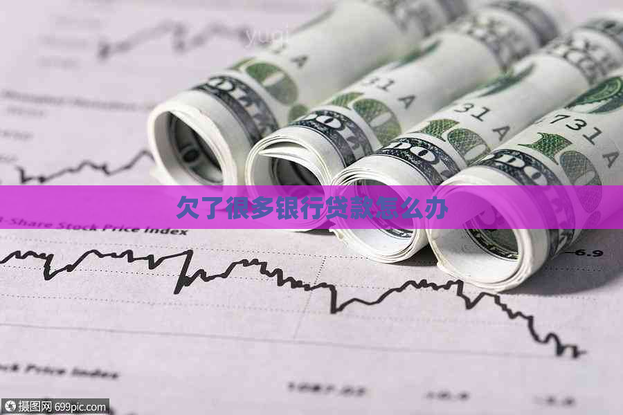 欠了很多银行贷款怎么办
