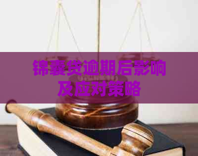 锦囊贷逾期后影响及应对策略
