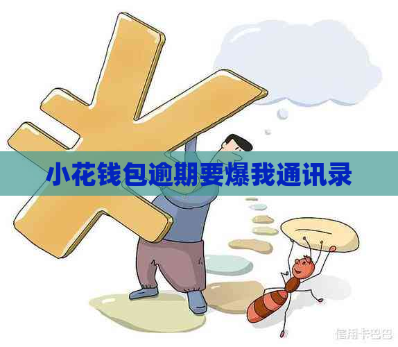 小花钱包逾期要爆我通讯录
