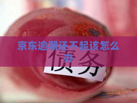 京东逾期还不起该怎么办