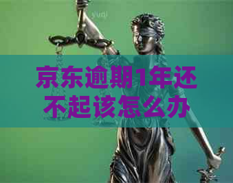 京东逾期1年还不起该怎么办