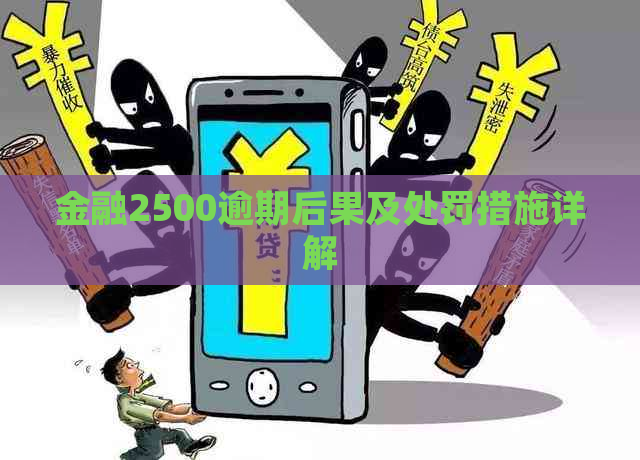 金融2500逾期后果及处罚措施详解