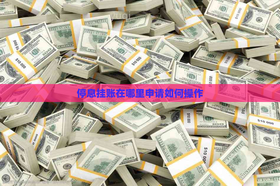 停息挂账在哪里申请如何操作
