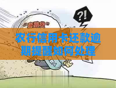 农行信用卡还款逾期提醒如何处理
