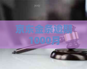 京东金条逾期1000月