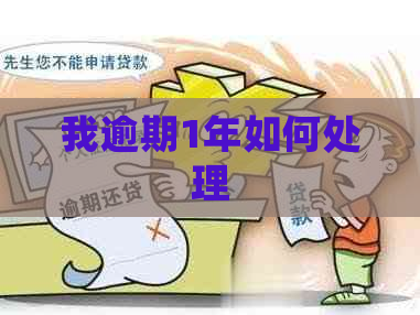 我逾期1年如何处理