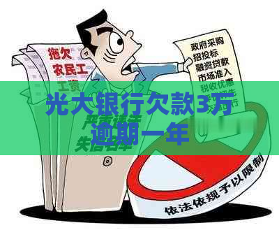光大银行欠款3万逾期一年