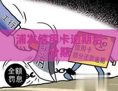 浦发信用卡逾期后分期
