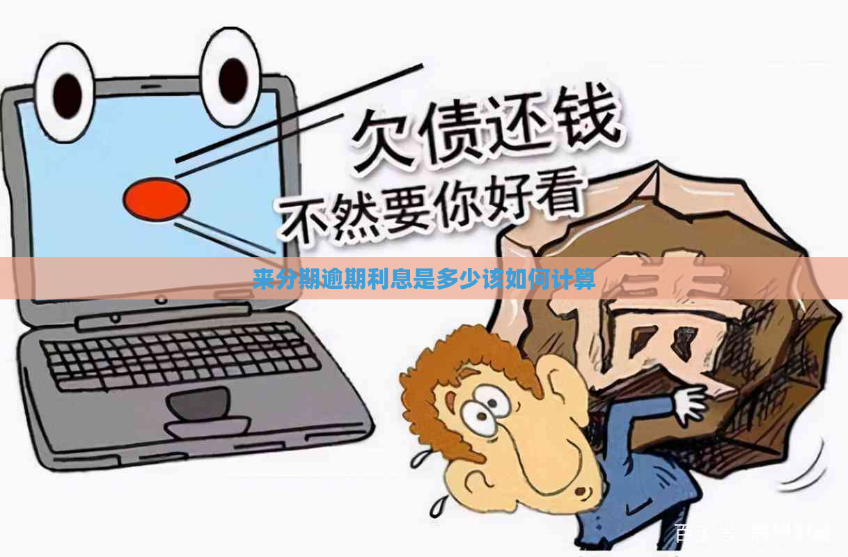 来分期逾期利息是多少该如何计算