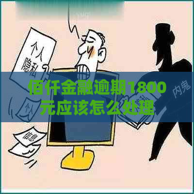 佰仟金融逾期1800元应该怎么处理