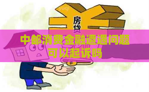 中邮消费金融遭遇问题可以起诉吗