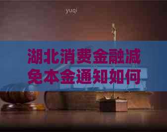 湖北消费金融减免本金通知如何申请
