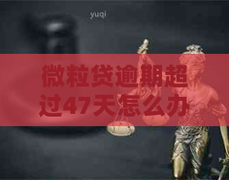 微粒贷逾期超过47天怎么办