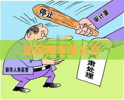 逾期两年怎么办