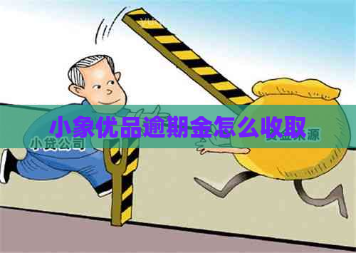 小象优品逾期金怎么收取