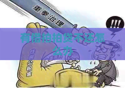 有借不还怎么办