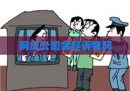 网贷公司会起诉我吗