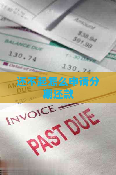 还不起怎么申请分期还款