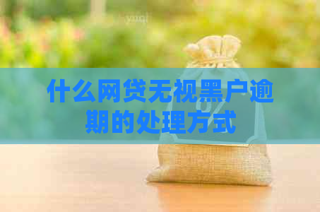 什么网贷无视黑户逾期的处理方式