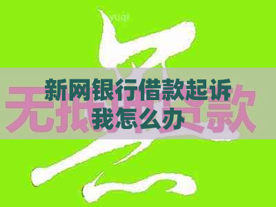 新网银行借款起诉我怎么办