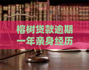 榕树贷款逾期一年亲身经历及处理经验分享