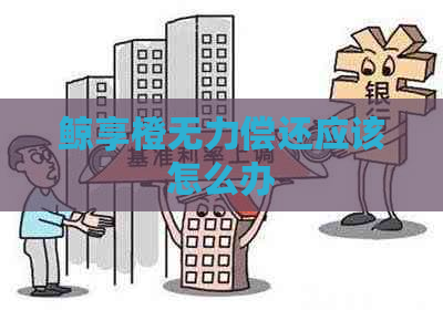 鲸享橙无力偿还应该怎么办