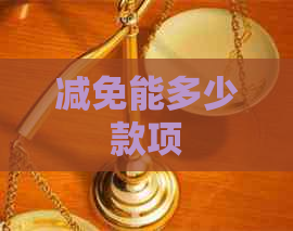 减免能多少款项