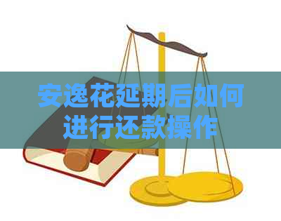 安逸花延期后如何进行还款操作