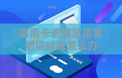 信用卡逾期总是发短信给我怎么办