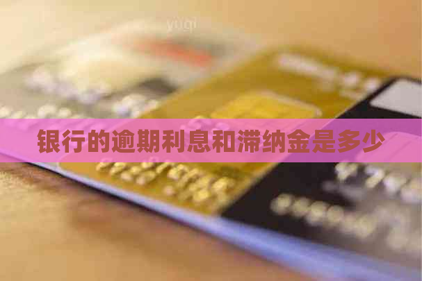 银行的逾期利息和滞纳金是多少