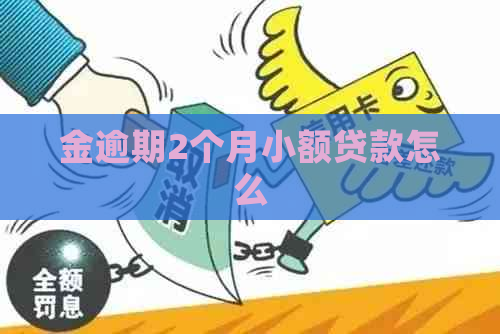 金逾期2个月小额贷款怎么