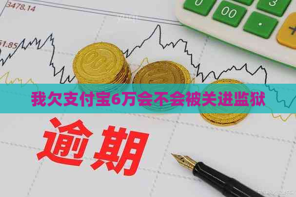 我欠支付宝6万会不会被关进监狱