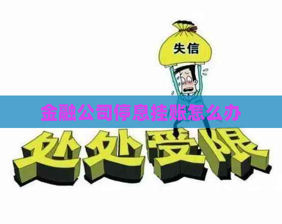 金融公司停息挂账怎么办