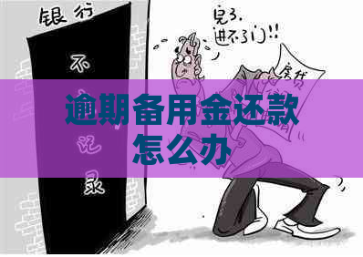 逾期备用金还款怎么办