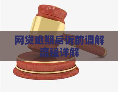 网贷逾期后诉前调解流程详解