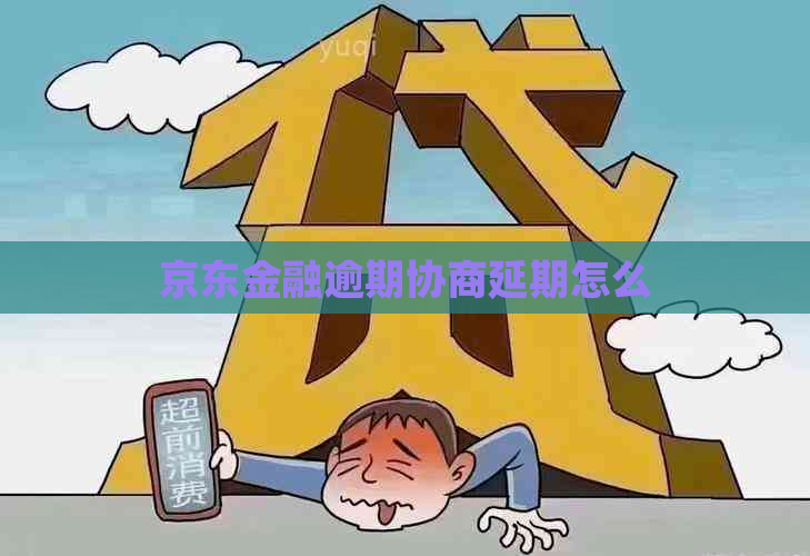 京东金融逾期协商延期怎么