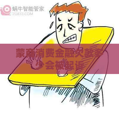 蒙商消费金融欠款多少会被起诉
