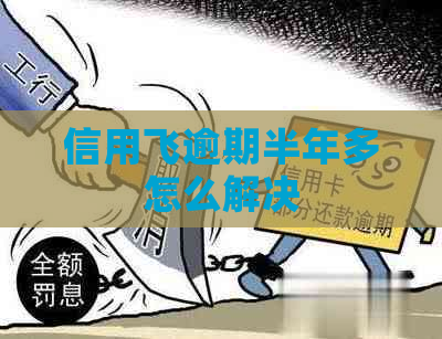 信用飞逾期半年多怎么解决