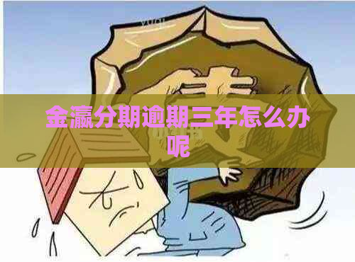 金瀛分期逾期三年怎么办呢