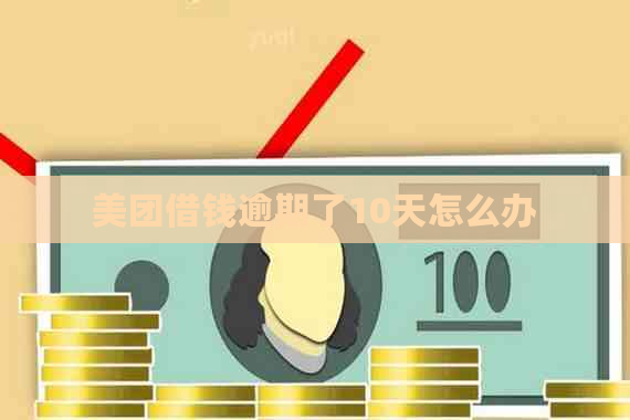 美团借钱逾期了10天怎么办