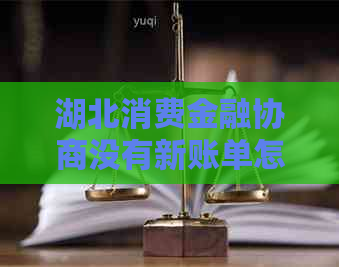 湖北消费金融协商没有新账单怎么办