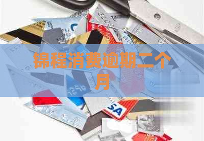锦程消费逾期二个月