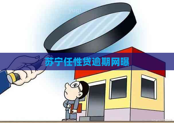 苏宁任性贷逾期网曝