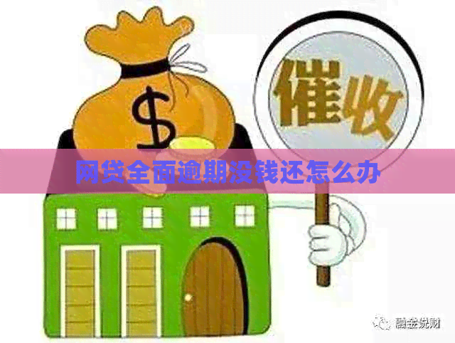 网贷全面逾期没钱还怎么办