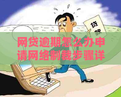网贷逾期怎么办申请网络制裁步骤详解